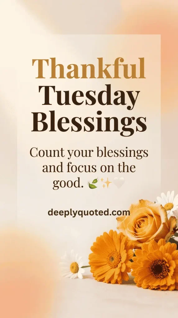 Thankful Tuesday Blessings quote saying, "Count your blessings and focus on the good"